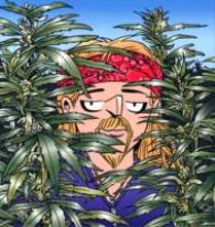 The Weed Whisperer : A Doonesbury Book