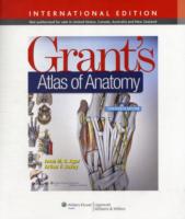 グラント解剖学アトラス（第１３版）<br>Grant's Atlas of Anatomy -- Paperback （13th revis）
