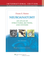 神経解剖学アトラス（第８版）<br>Neuroanatomy : An Atlas of Structures, Sections, and Systems -- Paperback （8th revise）