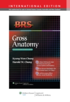 BRS解剖学（第７版）<br>Brs Gross Anatomy (Board Review Series) -- Paperback （7th revise）