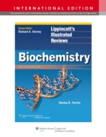 Lippincott 図解生化学（第６版）<br>Biochemistry (Lippincott's Illustrated Reviews Series) -- Paperback （internatio）