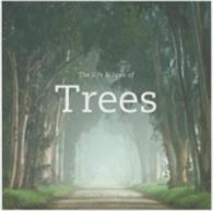 The Life & Love of Trees