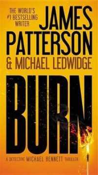Burn (A Michael Bennett Thriller)