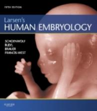 ラーセン人体発生学（第５版）<br>Larsen's Human Embryology （5 PAP/PSC）