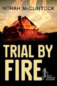 Trial by Fire : A Riley Donovan mystery (Riley Donovan)