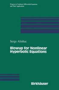 Blowup for Nonlinear Hyperbolic Equations (Progress in Nonlinear Differential Equations and Their Applications)