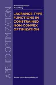 Lagrange-type Functions in Constrained Non-Convex Optimization (Applied Optimization)