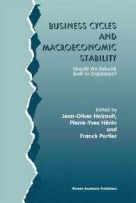 Business Cycles and Macroeconomic Stability : Should We Rebuild Built-in Stabilizers?