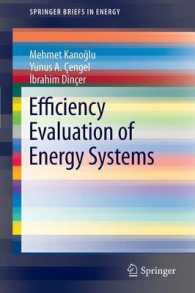 Efficiency Evaluation of Energy Systems (SpringerBriefs in Energy)