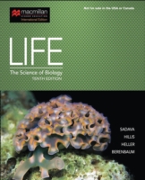 Life : The Science of Biology -- Hardback