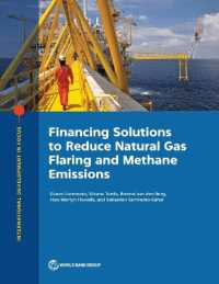Financing Solutions to Reduce Natural Gas Flaring and Methane Emissions (International Development in Focus)