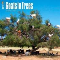 Goats in Trees 2017 Calendar （WAL）