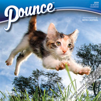 Pounce 2019 Mini Wall Calendar