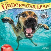 Underwater Dogs 2019 Calendar （16M WAL）