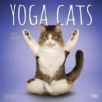 Yoga Cats 2019 Calendar （16M WAL）