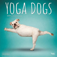 Yoga Dogs 2019 Calendar （16M WAL）