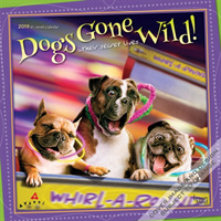 Dogs Gone Wild 2019 Calendar : Their Secret Lives （16M WAL）