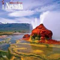 Wild & Scenic Nevada 2018 Calendar （WAL）