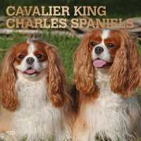 Cavalier King Charles Spaniels 2019 Calendar （16M WAL MU）