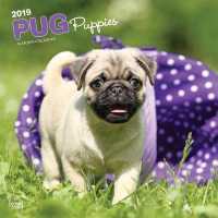 Pug Puppies 2019 Calendar （16M WAL MU）