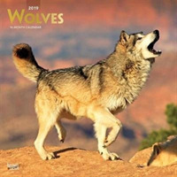Wolves 2019 Calendar （16M WAL MU）