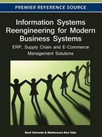Information Systems Reengineering for Modern Business Systems : ERP, Supply Chain and E-Commerce Management Solutions