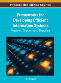 Frameworks for Developing Efficient Information Systems : Models, Theory, and Practice