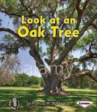 Look at an Oak Tree (First Step Nonfiction)
