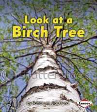 Look at a Birch Tree (First Step Nonfiction)