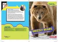 Grizzly Bears : Huge Hibernating Mammals (Comparing Animal Traits)
