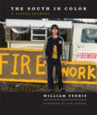 The South in Color : A Visual Journal (H. Eugene and Lillian Youngs Lehman Series)
