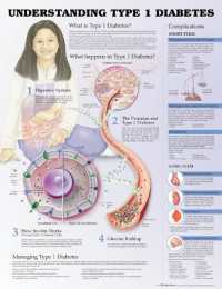 Understanding Type 1 Diabetes Anatomical Chart （3RD）