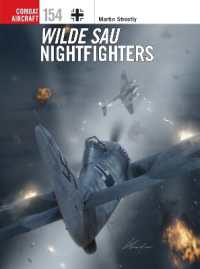Wilde Sau Nightfighters (Combat Aircraft)