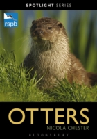 Otters (Spotlight)