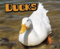 Ducks -- Electronic book text (English Language Edition)