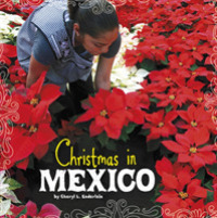 Christmas in Mexico (First Facts: Christmas around the World) -- Paperback / softback