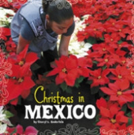 Christmas in Mexico -- Electronic book text (English Language Edition)