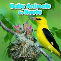 Baby Animals in Nests (Baby Animals and Their Homes) -- Paperback / softback