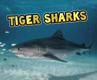 Tiger Sharks (All about Sharks) -- Paperback / softback