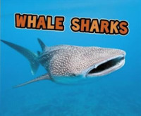 All about Sharks Pack a of 4 (All about Sharks) -- Mixed media product