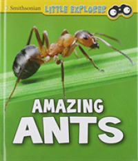 Insect Explorer Pack a of 6 (Insect Explorer) -- Mixed media product