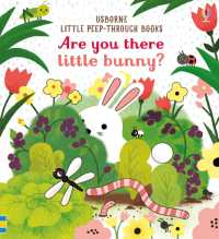 Are you there little Bunny (Little Peek-through Books) （Board Book）