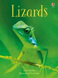 Lizards (Beginners)