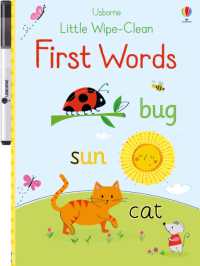 Little Wipe-Clean First Words (Little Wipe-clean)