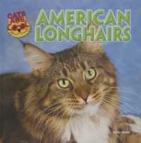 American Longhairs (Cats Are Cool) （Library Binding）
