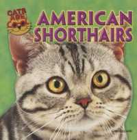American Shorthairs (Cats Are Cool)