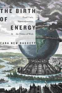 The Birth of Energy : Fossil Fuels, Thermodynamics, and the Politics of Work (Elements)