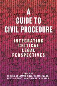 A Guide to Civil Procedure : Integrating Critical Legal Perspectives