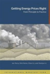 Getting energy prices right : from principle to practice