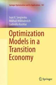 Optimization Models in a Transition Economy (Springer Optimization and Its Applications)